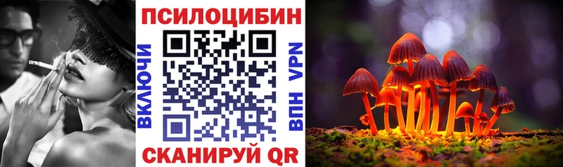 где найти наркотики  Беломорск  Галлюциногенные грибы мицелий 